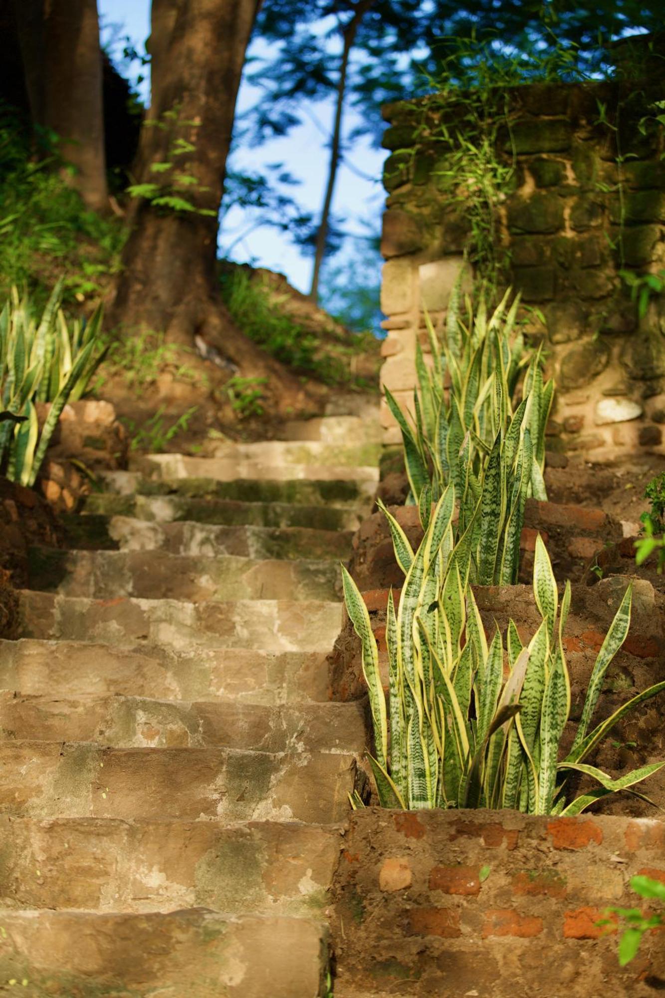 Baker Safari Company Villa Kwangwazi ภายนอก รูปภาพ
