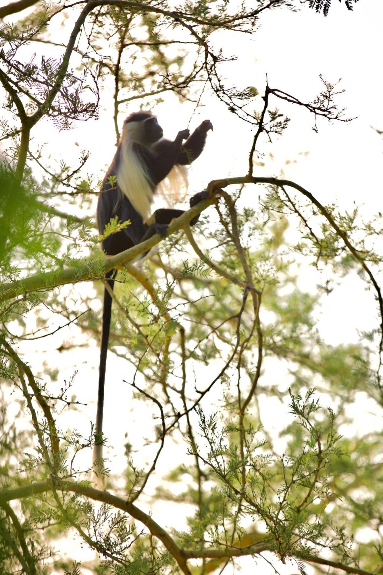 Baker Safari Company Villa Kwangwazi ภายนอก รูปภาพ
