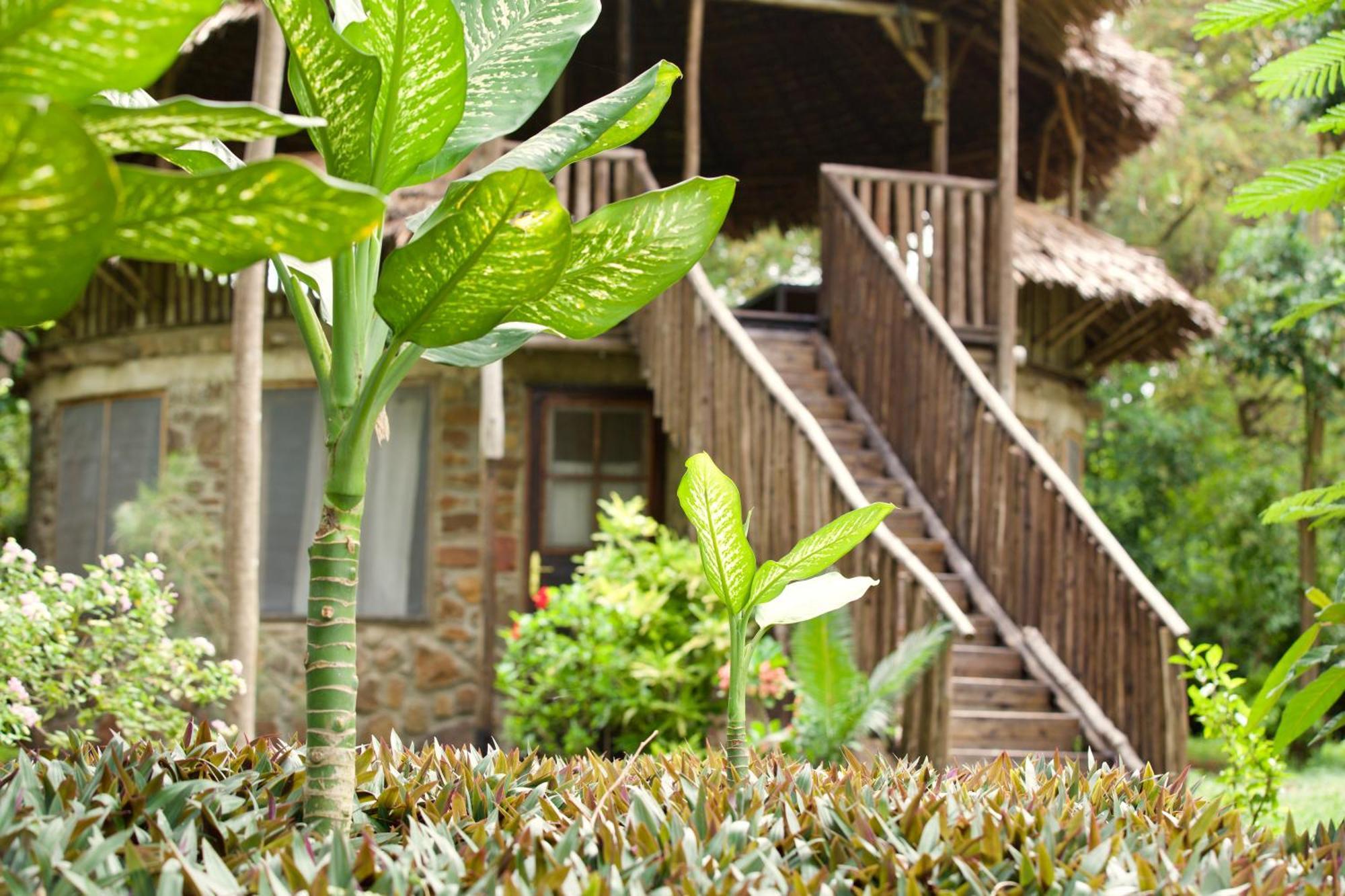 Baker Safari Company Villa Kwangwazi ภายนอก รูปภาพ