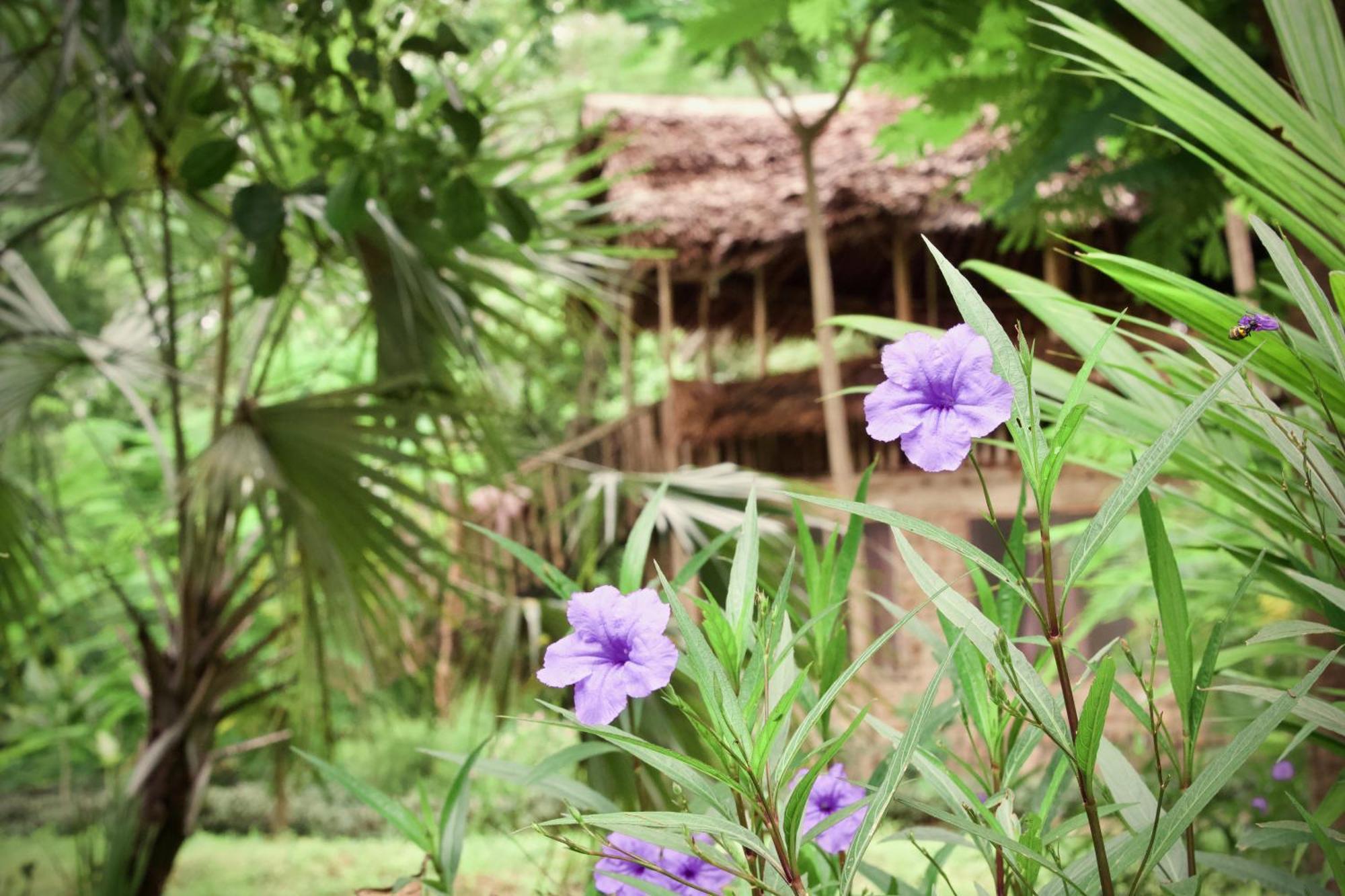 Baker Safari Company Villa Kwangwazi ภายนอก รูปภาพ